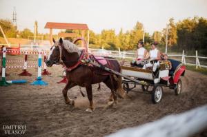 Фотография Усадьба Сосновый бор 1